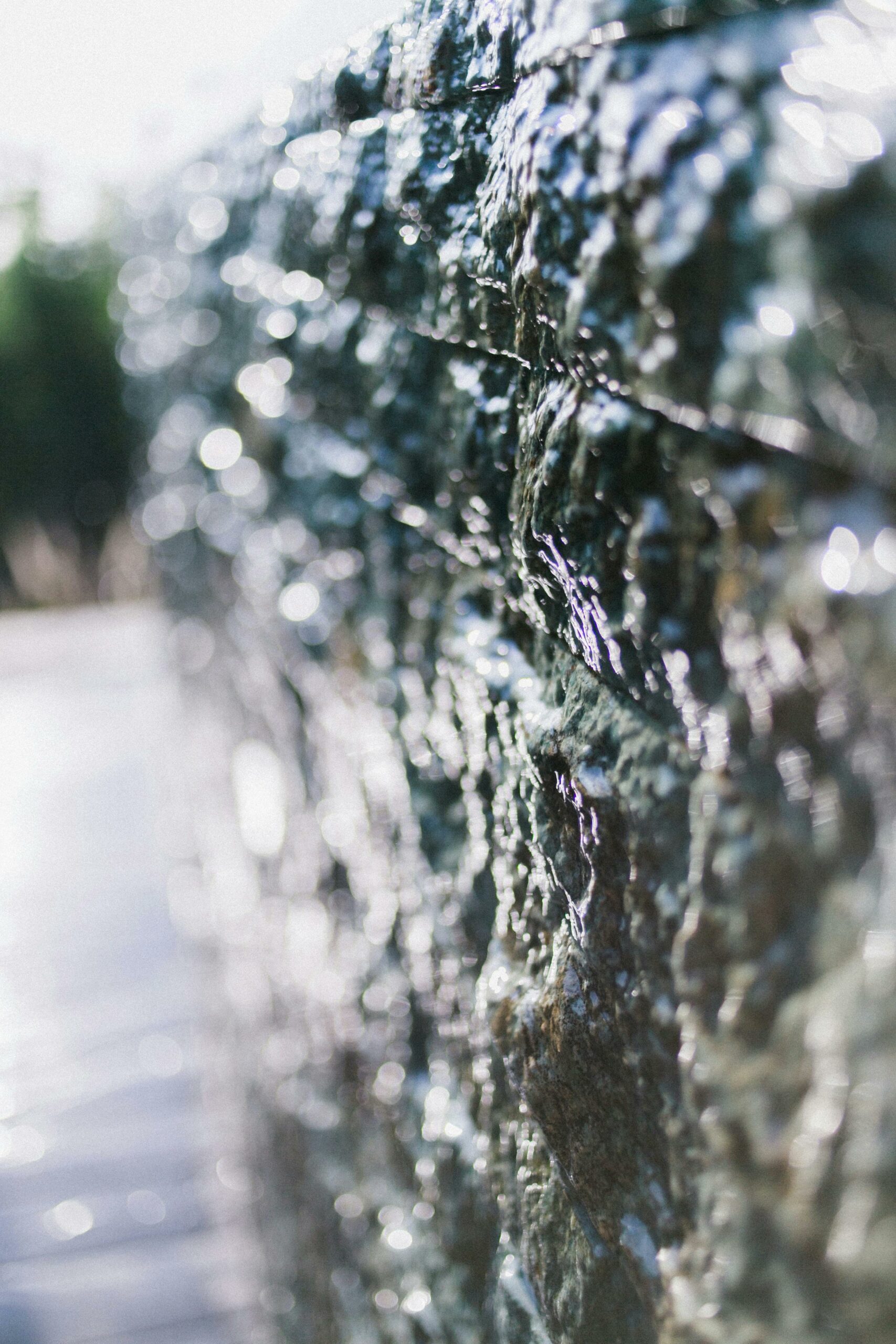 Selective focus of tall dark brown glistening uneven surface of tall water in sunlight